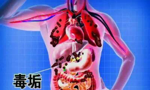 毒素累积.jpg