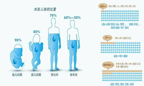 不同时期水在人体的比重.jpg