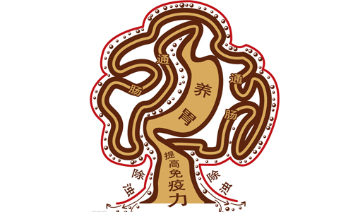 通肠胃.jpg